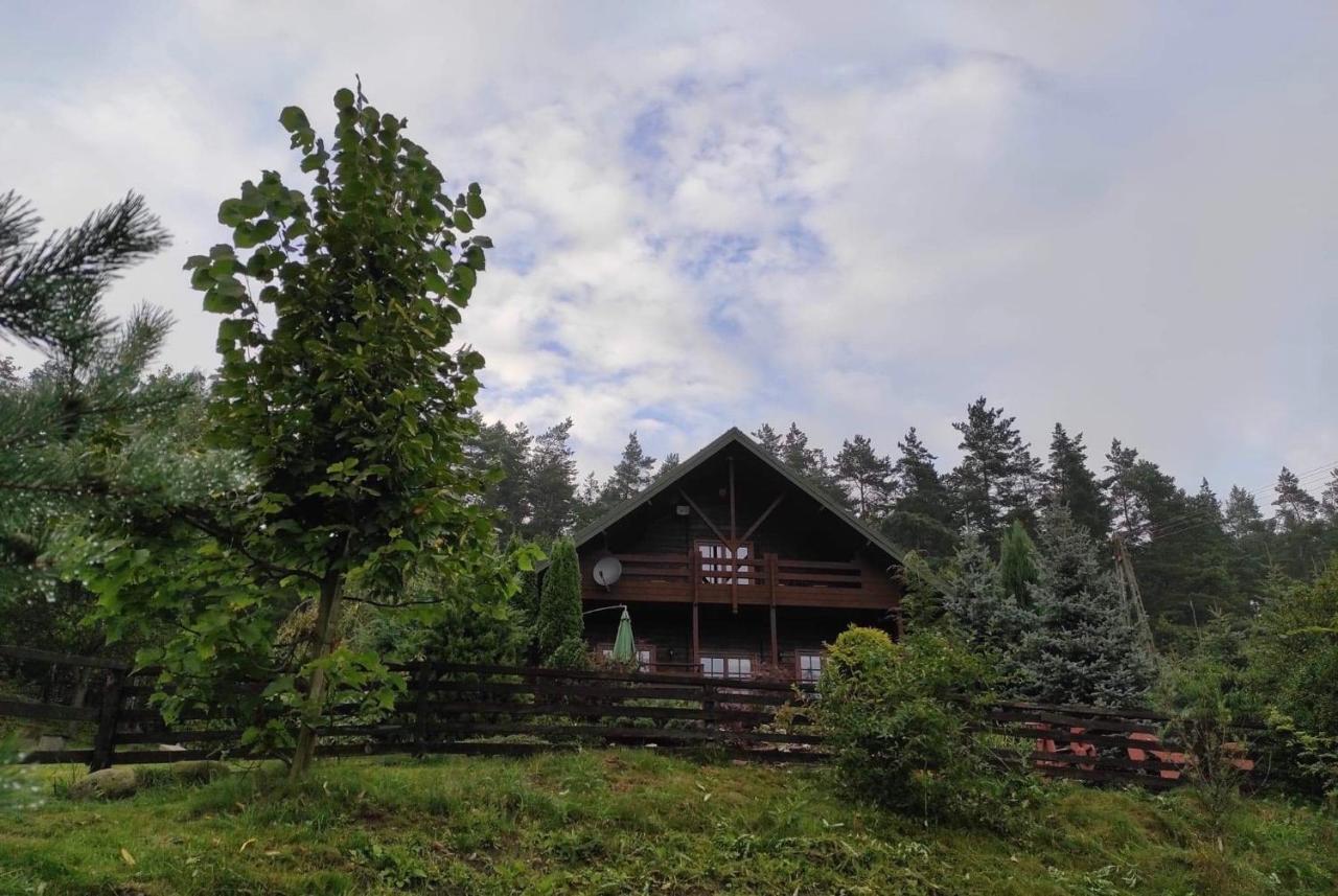 Ferienhaus Dom Na Wzgorzu 479, The House On The Hill