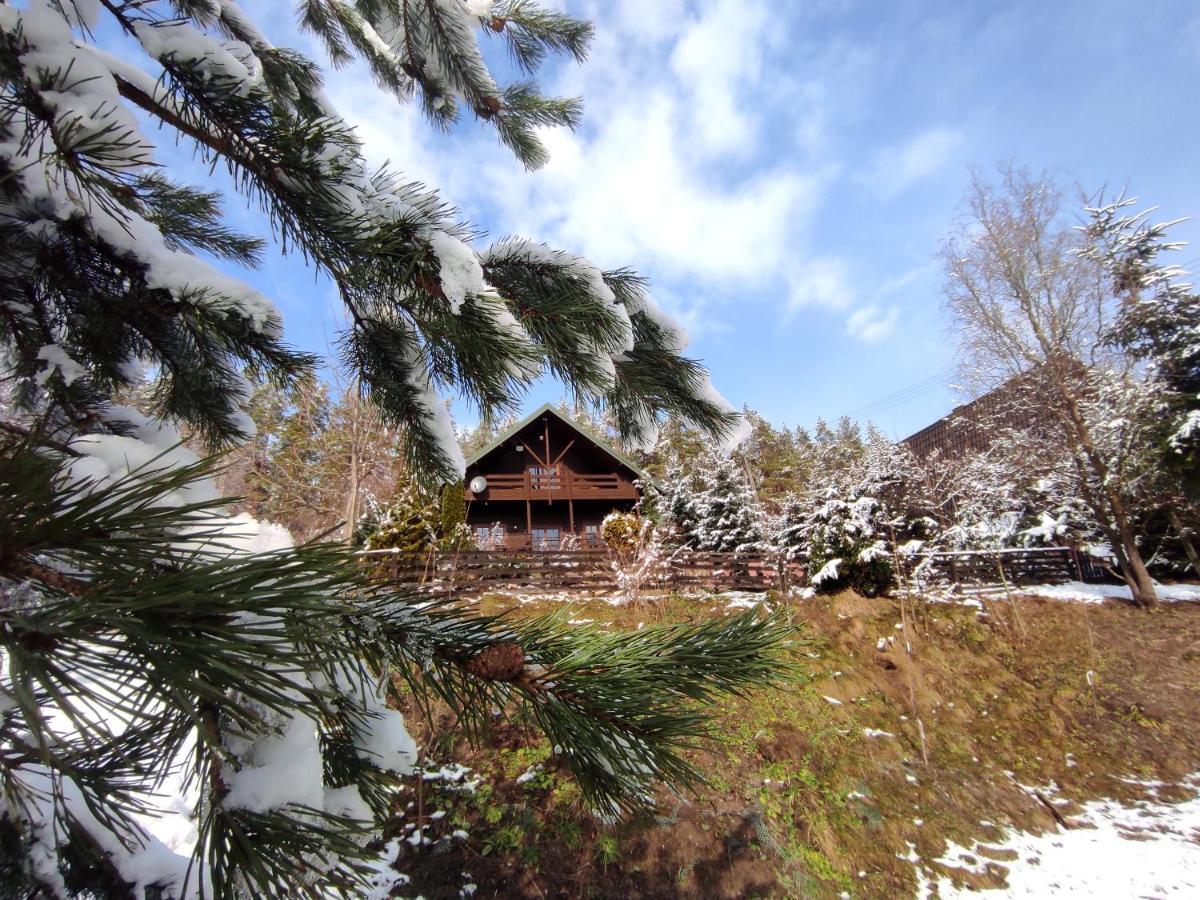 Ferienhaus Dom Na Wzgorzu 479, The House On The Hill