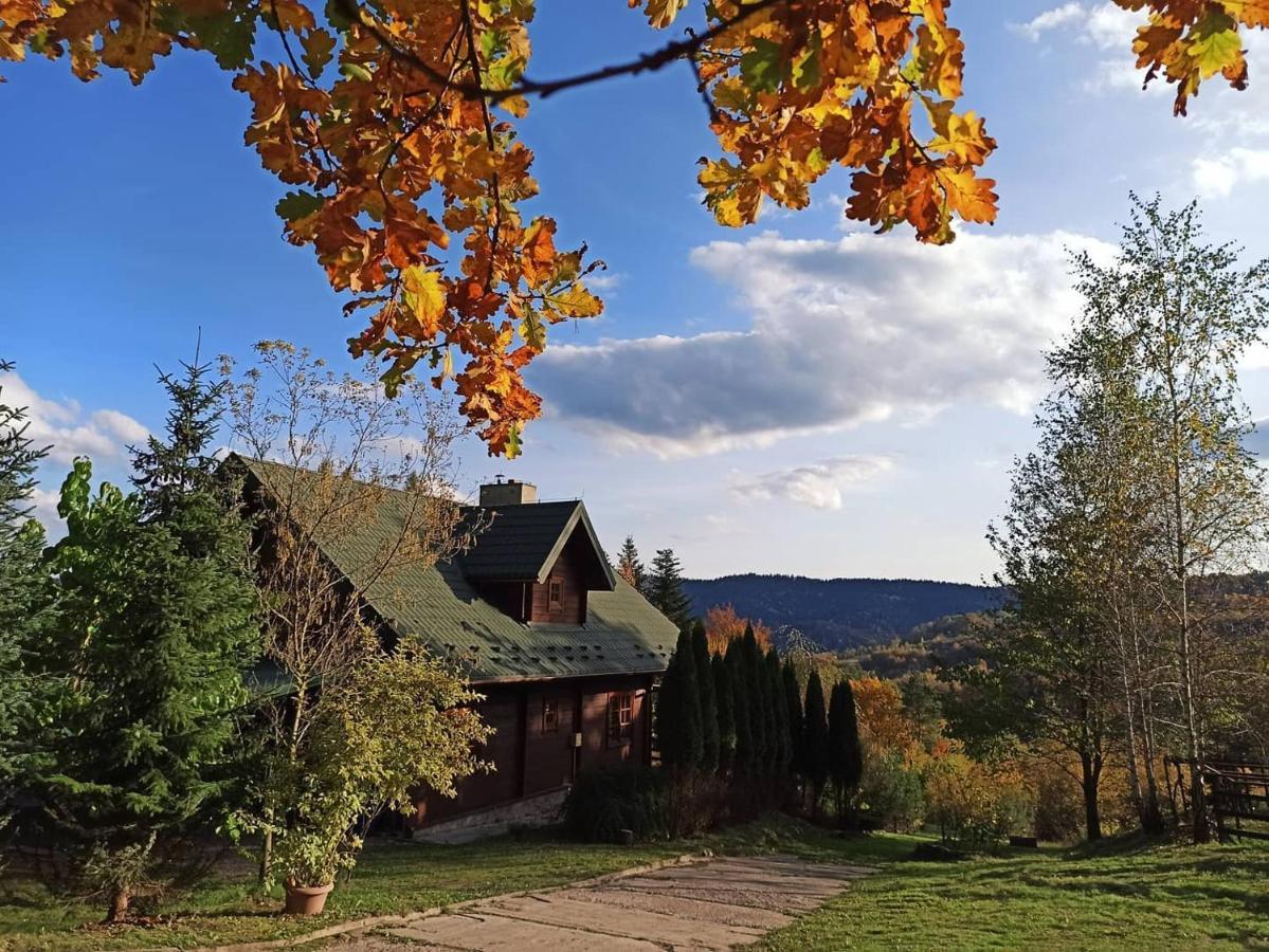 Dom Na Wzgorzu 479, The House On The Hill * Sułkowice